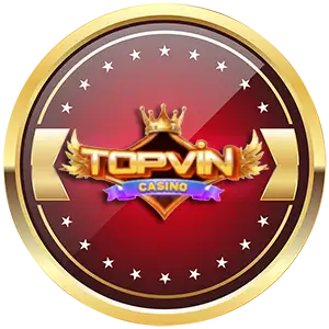 Topvin